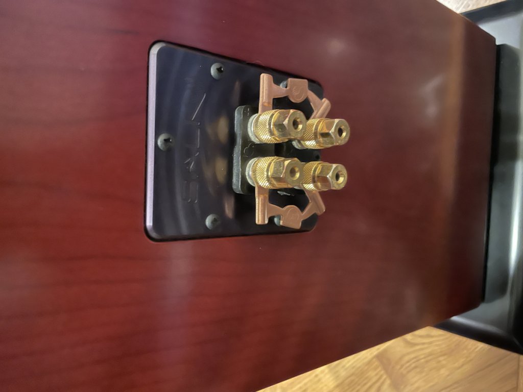 Back of Speaker