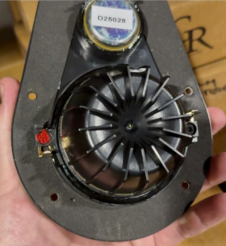 Image-7-24-25-at-6.36---PM