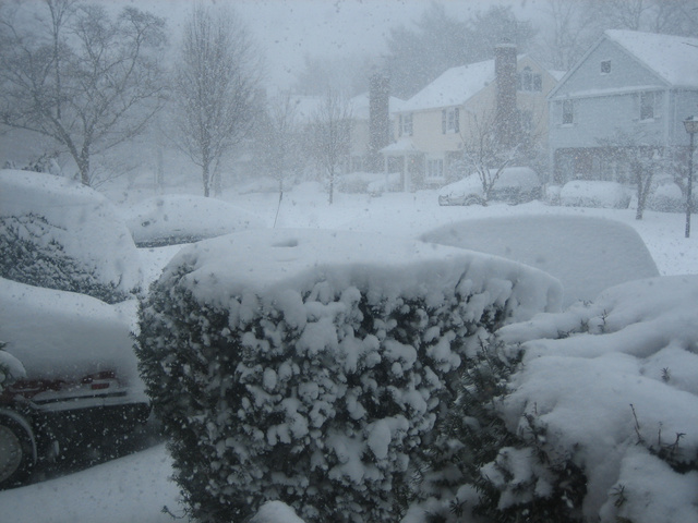 Blizzard 2006