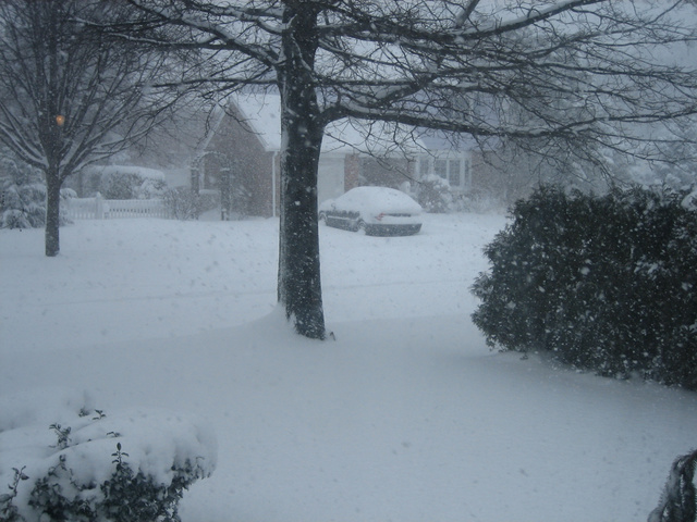 Blizzard 2006