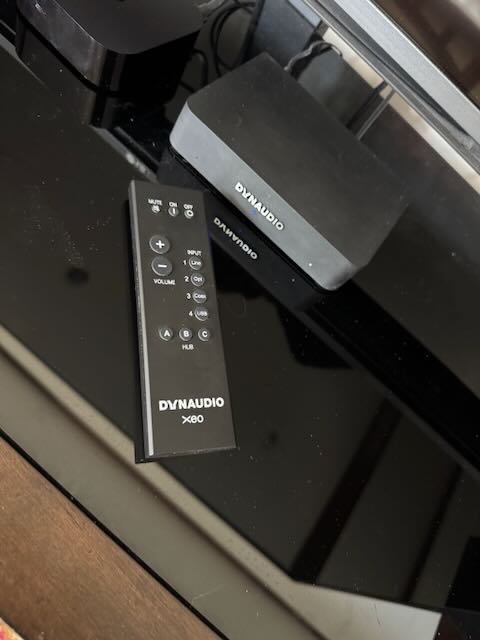 dynaudio remote and hub