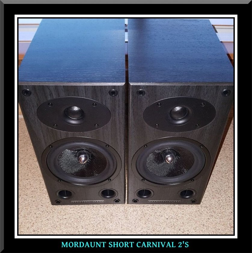 1907636-f 7c 0911e-mordaunt-short-carnival-2-mint--1-