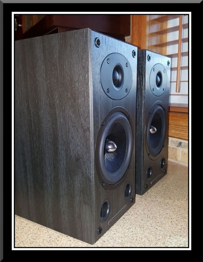 1907640-8fa 397d 5-mordaunt-short-carnival-2-mint