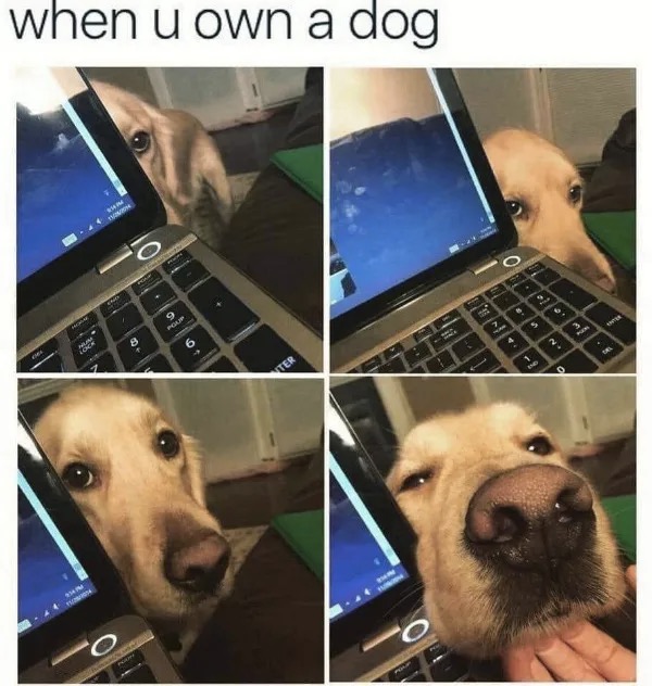 Messages-Image-1476645871-