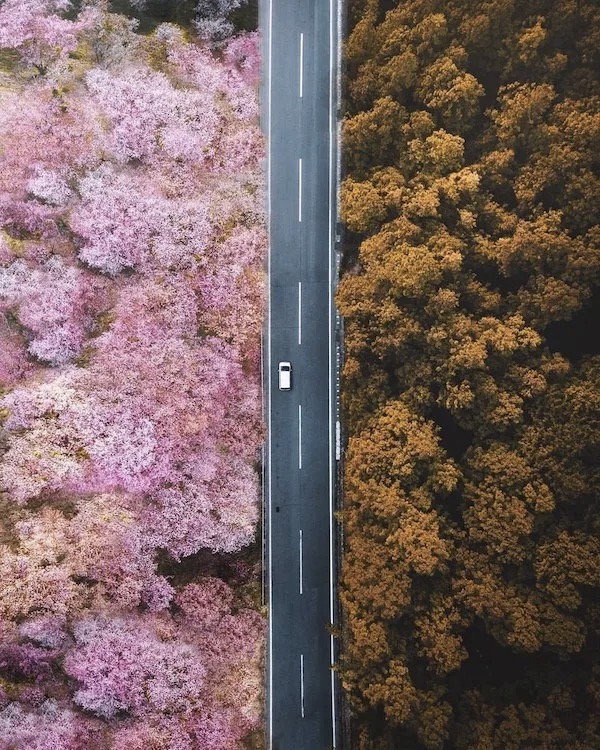 Messages-Image-2342757247-