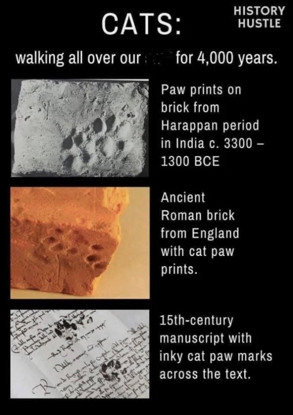 Messages-Image-142643528-