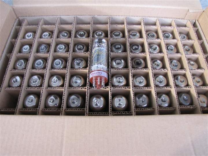 IMG 9594 (Medium)