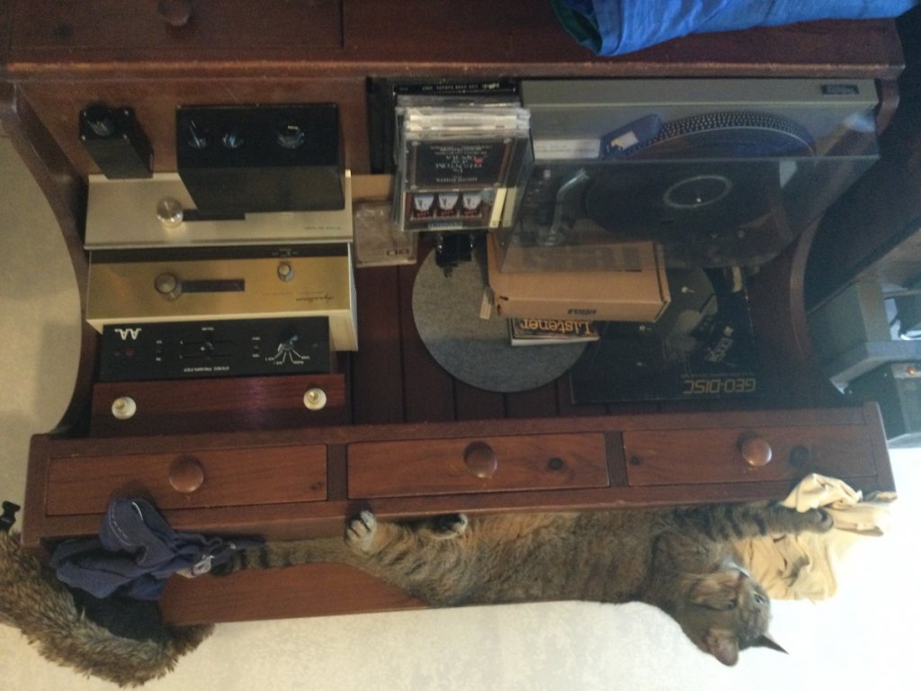 B 423F 65B-C 2C 1-46FD-AF 94-AD 2EEE 039D 0D