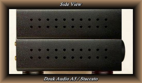 Final-side-view-design-with-.040-thick-faceplate-with-staccato-and-Douk-logo-s