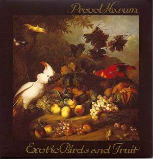 exotic birds