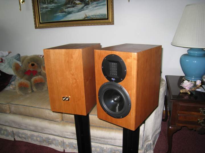 No. 8 - Neo 2X Back and Front view.