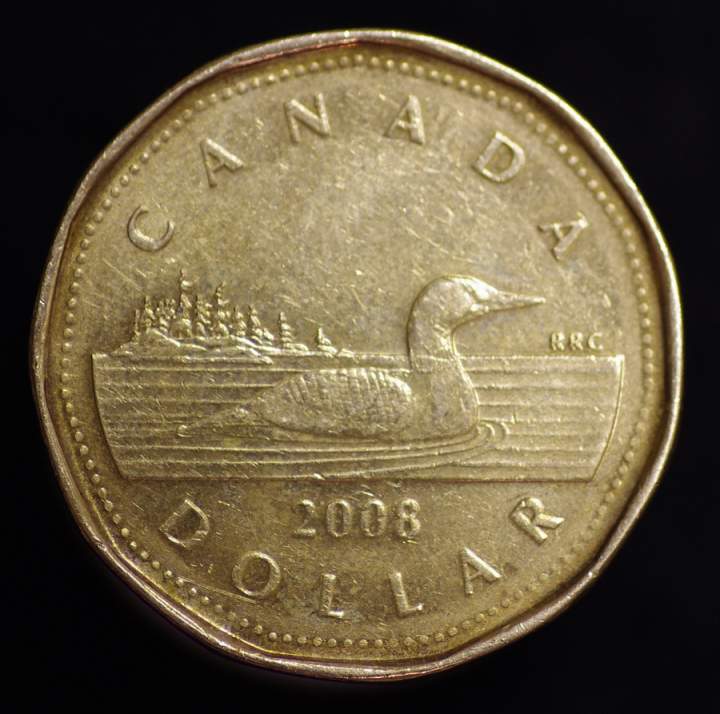 Loon 1