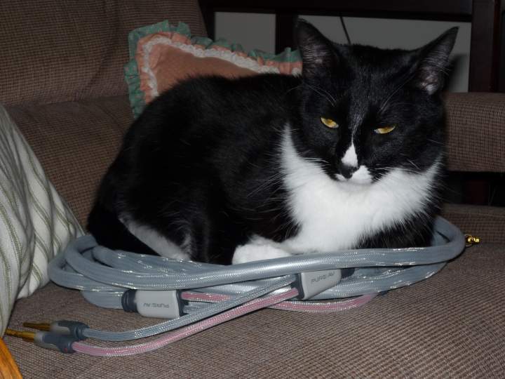 Chet soothed by cables