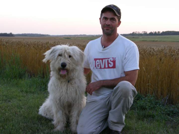 Aurora n me
