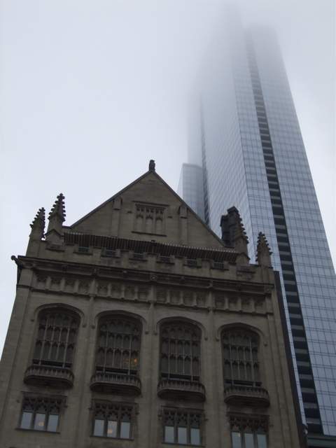 (Untitled)