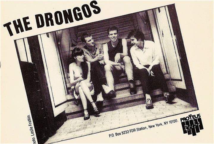 drongos