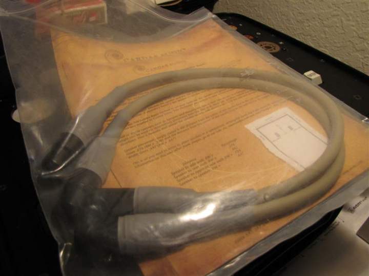 IMG 9957 (Medium)