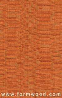 lacewood qrtd3