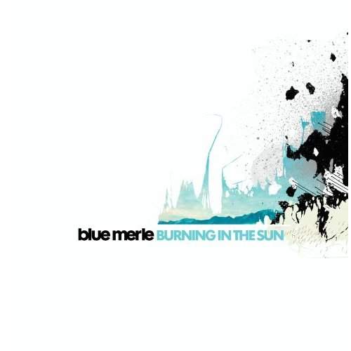 blue merle