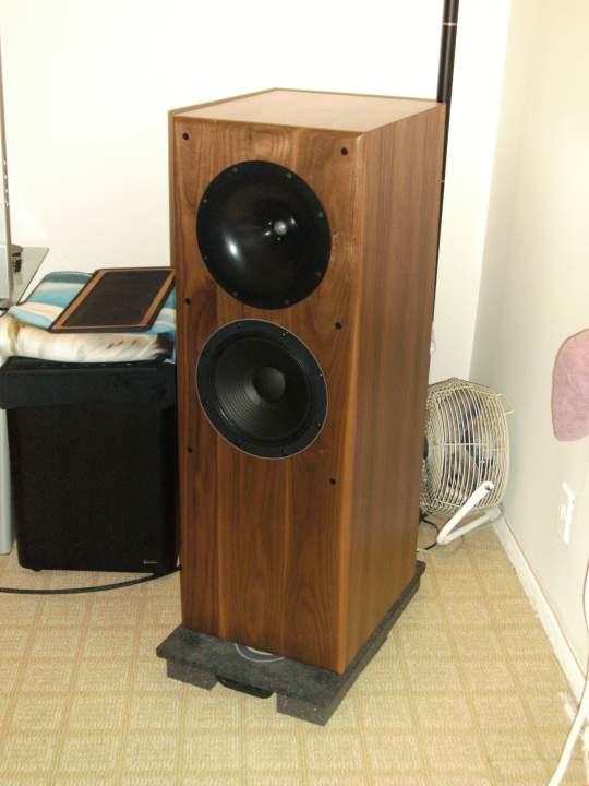 Jazz Module Speaker on Auralex Gramma