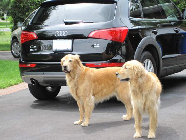 Reuben & Zoey
