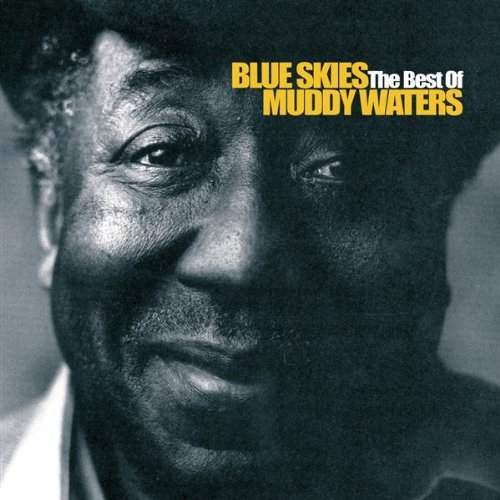 Muddy Waters - Blue Skies