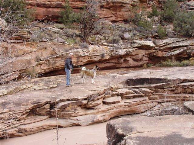 Wife and dog in Devil's Canyon. This place is all of 5 minutes from downtown Fruita. Notice the muddy creek flowing in the bottom of the photo.