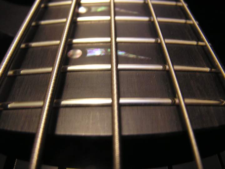 (Untitled)
