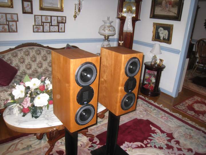 N3S Speakers - left front view showing drivers installed.