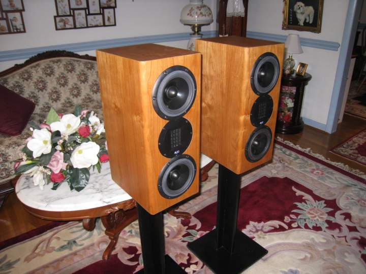 N3S Speakers - Left front view.