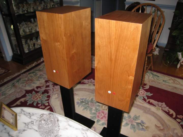 N3S Speakers - Rear view showing Eletra Tube input terminals.