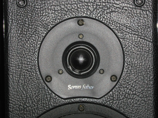 Sonus Faber Tweeter damage2