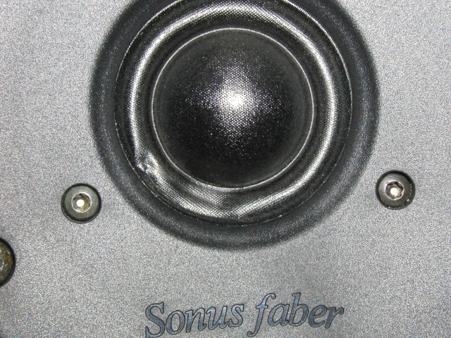 Sonus Faber Tweeter damage3