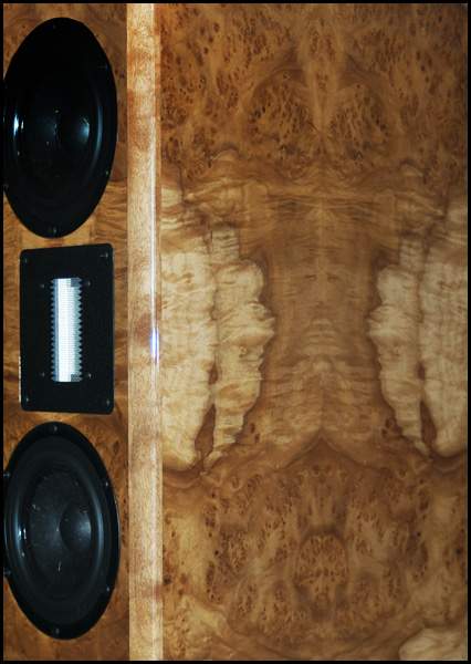 ST-RT-mapleburl-cu