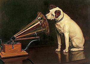 rca-dog