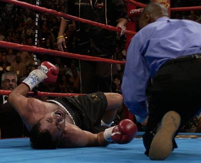 Hopkins vs De La Hoya 3