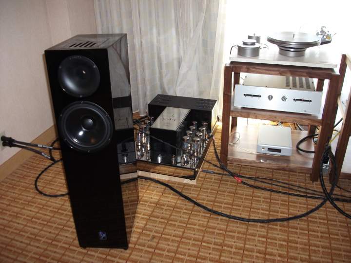 SY TT CAT electronics Lansche 3 speakers Ayre QB9 dac