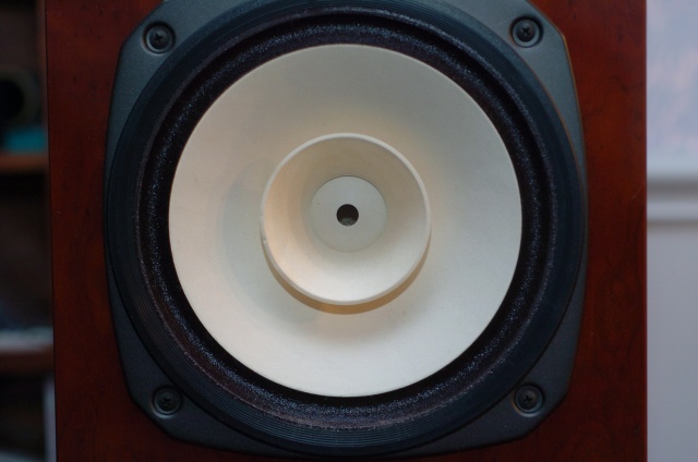 Speaker close up