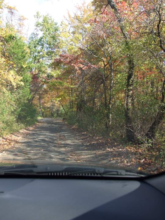 Mike's driveway, the man is a Baron of a vast estate. (-: 
If you look carefully there is a deer ahead on the 'road', expertly trained by the staff to welcome each guest.