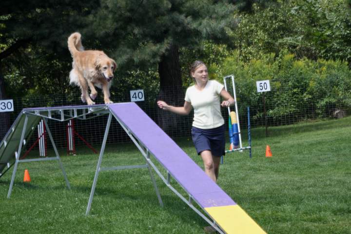 IMG 2024M