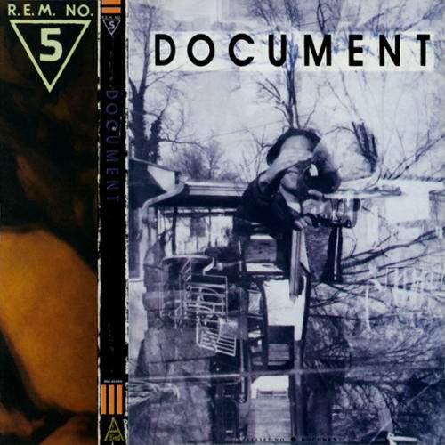 rem document