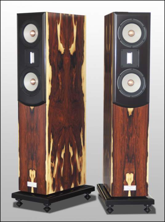 salk HT2-TL's - brazilian rosewood