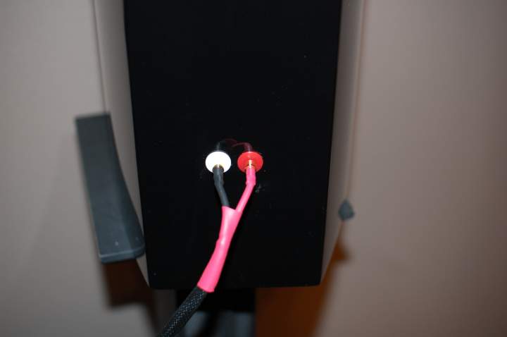 (Untitled)