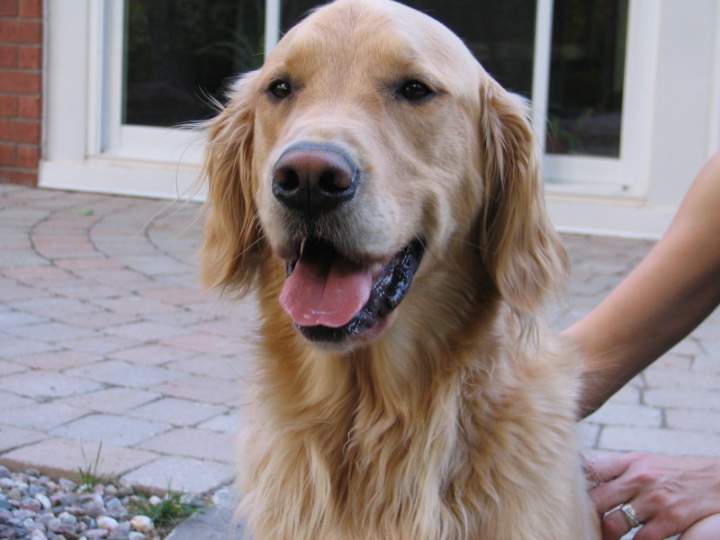 REUBEN