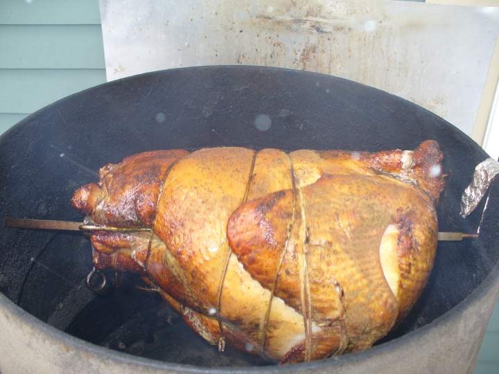 Thanksgiving Turkey 11-25-10 