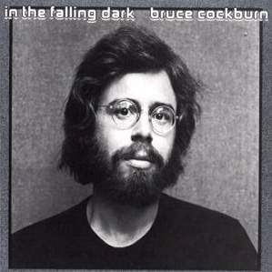 In The Falling Dark
