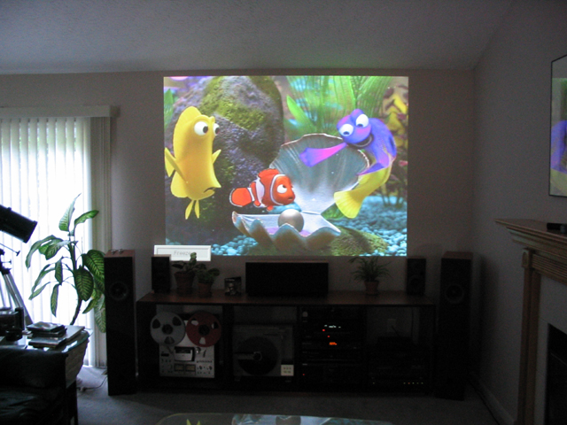 Nemo on the Infocus X1 projector. The audio rack is exactly 7 feet wide to give you an idea of how large the image is.