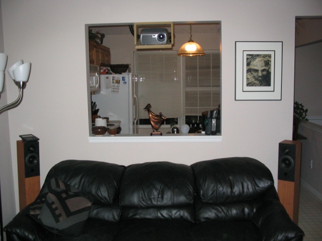 Rear surrounds with Infocus X1 projector.