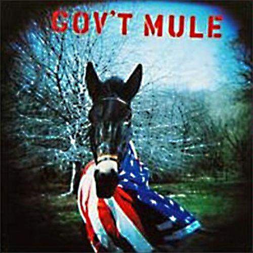gov't mule
