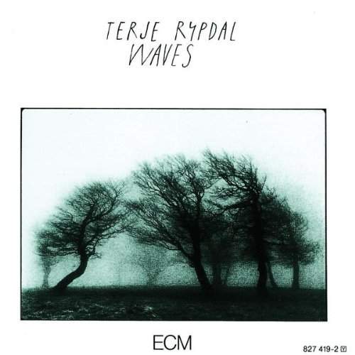 terje rypdal waves